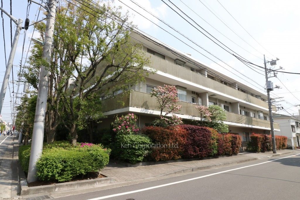 イトーピア自由が丘イデアの写真 外観ひき