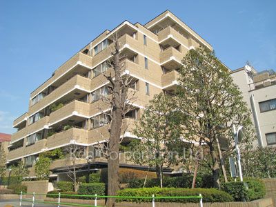クリスタルコート鳥居坂の写真 外観ひき