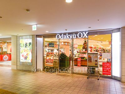  OdakyuOX