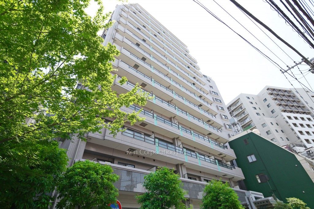 ライオンズマンション渋谷道玄坂の写真 外観ひき
