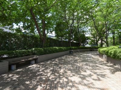 西早稲田シティタワーの写真 中庭・植栽