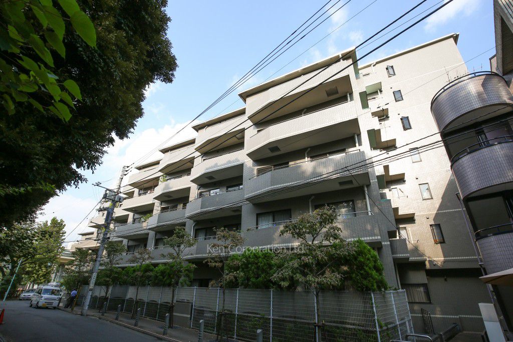 NK青山ホームズの写真 外観ひき