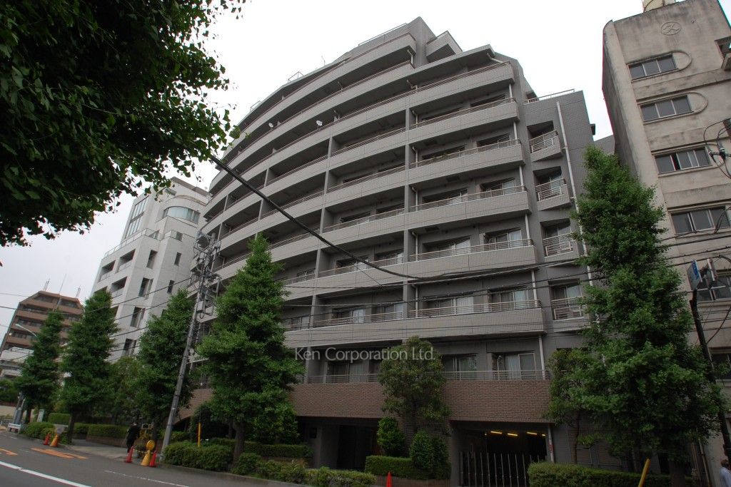  外観ひき