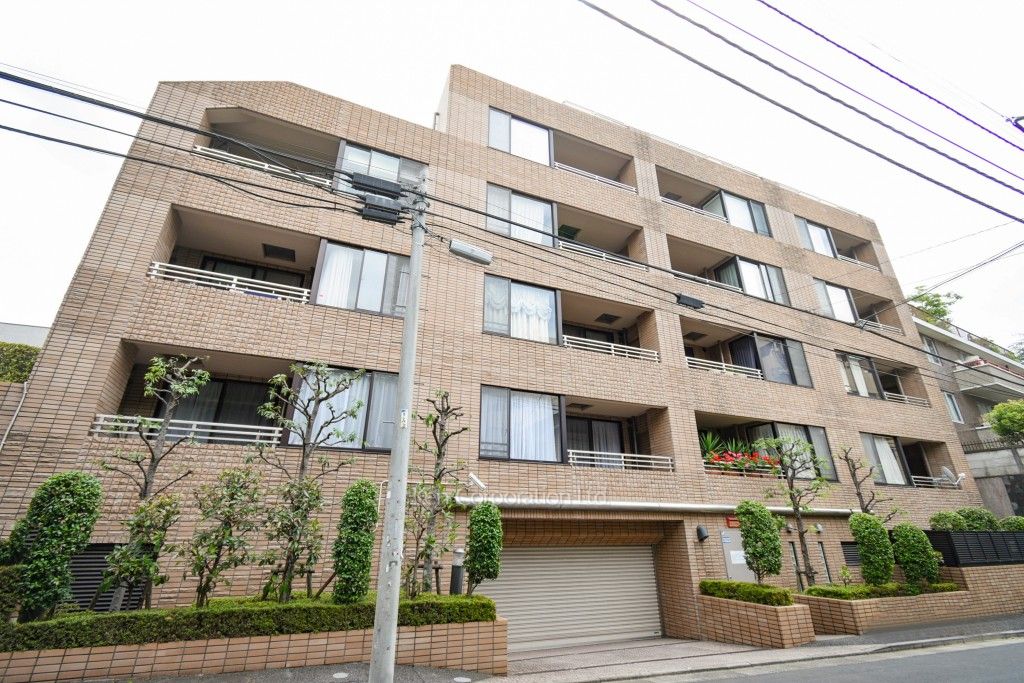 クレマージュ南青山の写真 外観ひき