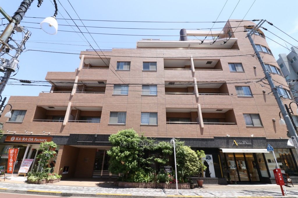  外観ひき