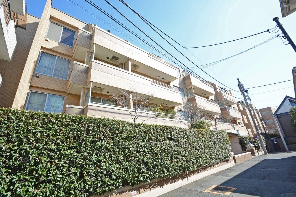ヒルハイツ代官山の写真 外観ひき