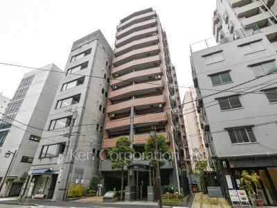 ライオンズステージ麻布の写真 外観ひき