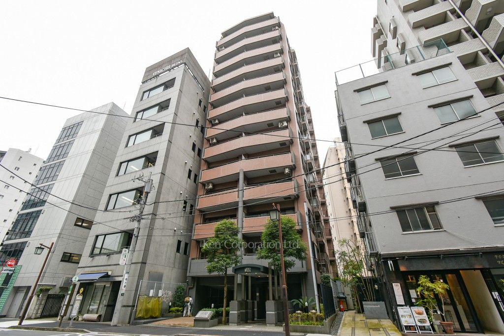 ライオンズステージ麻布の写真 外観ひき