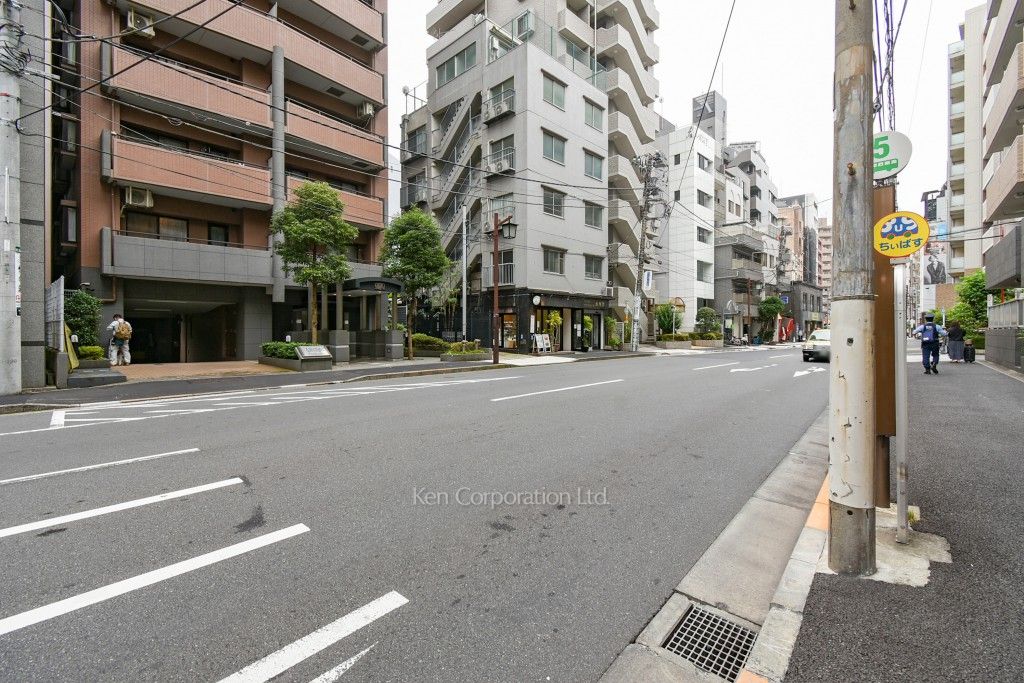 ライオンズステージ麻布の写真 前面道路
