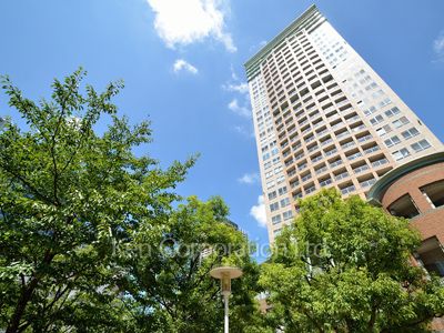 ザ・パークタワー東京サウスの写真 外観ひき