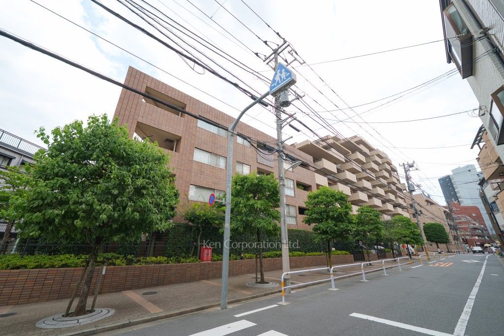 アデニウム武蔵小山の写真 外観ひき