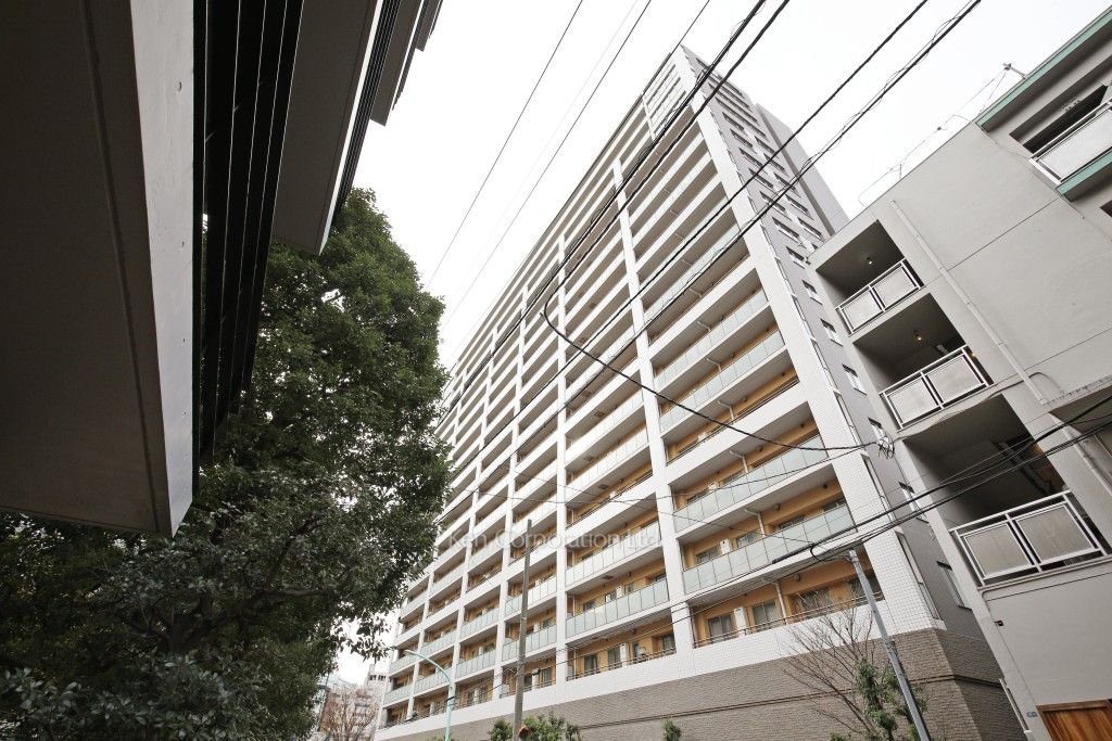  外観ひき