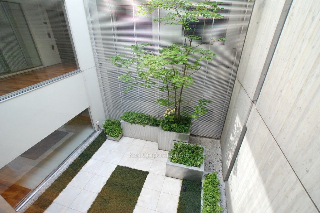  中庭・植栽
