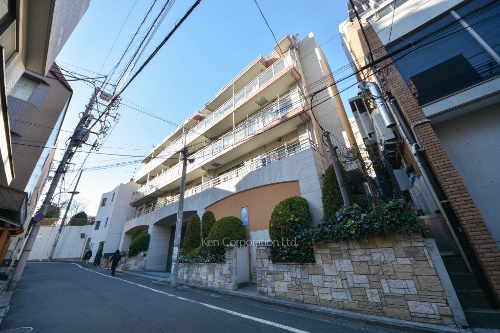  外観ひき