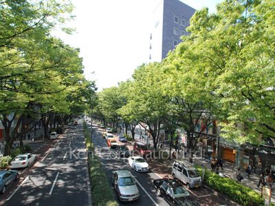 インペリアル表参道の写真 表参道