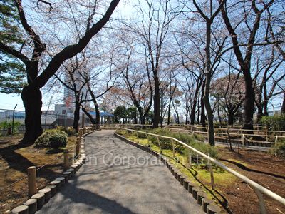 パークコート御殿山ジ・エストの写真 区立権現山公園
