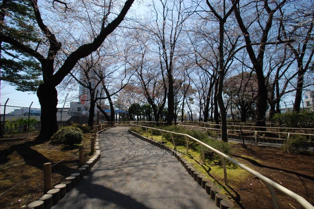 パークコート御殿山ジ・エストの写真 区立権現山公園