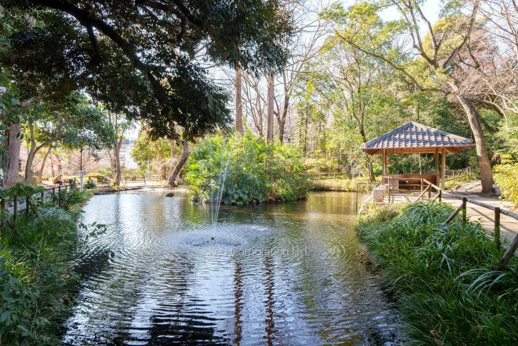  おとめ山公園