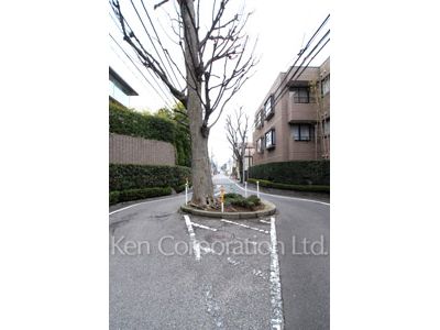 大友ハウスの写真 前面道路