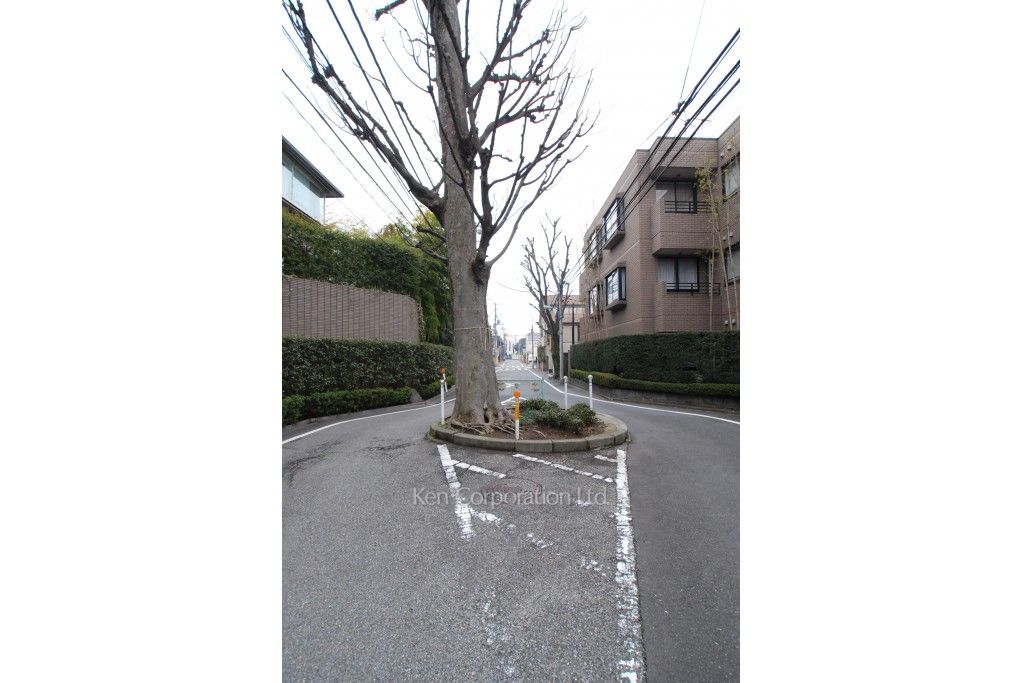 大友ハウスの写真 前面道路