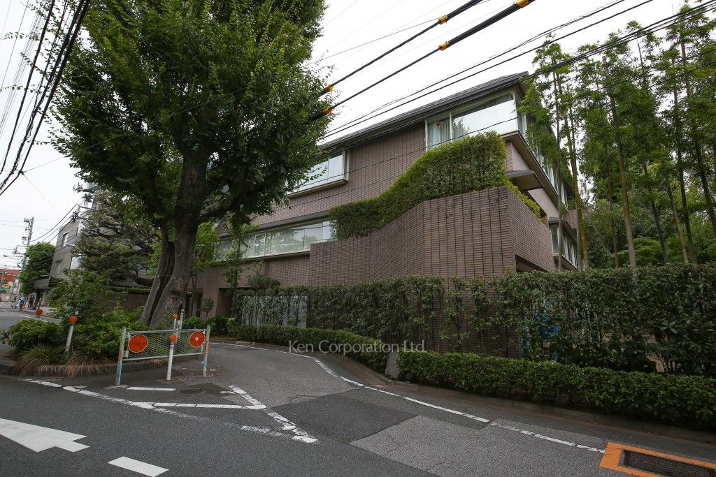 大友ハウスの写真 外観ひき