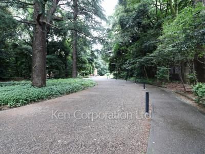 ヴェーゼント駒場公園の写真 周辺