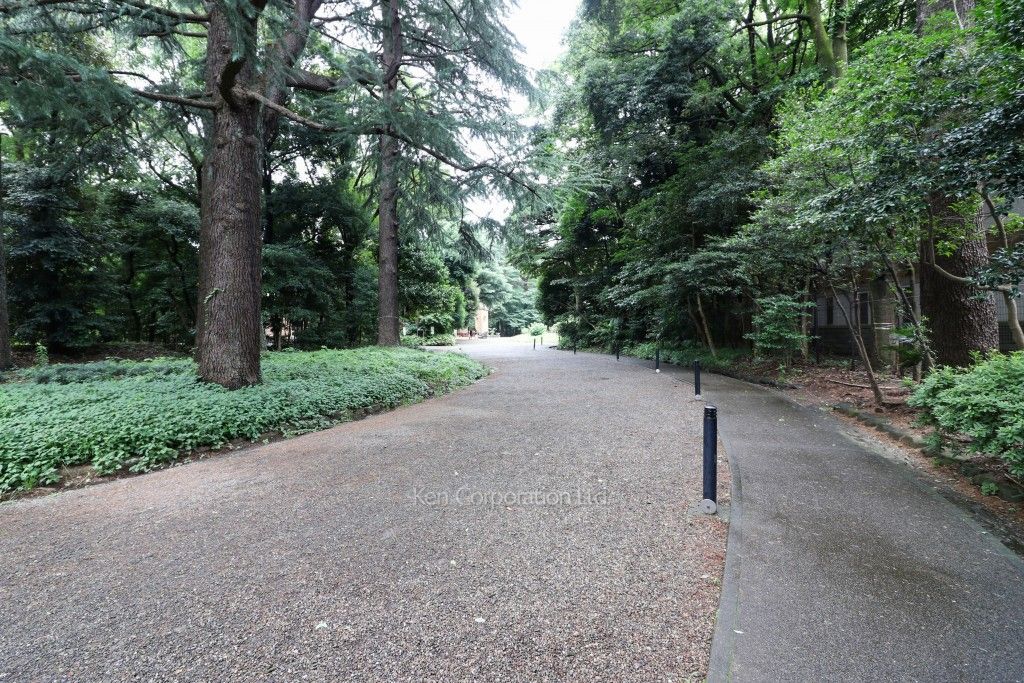ヴェーゼント駒場公園の写真 周辺
