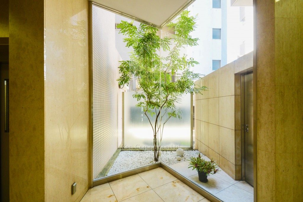 ジェイパーク恵比寿Ⅳの写真 植栽
