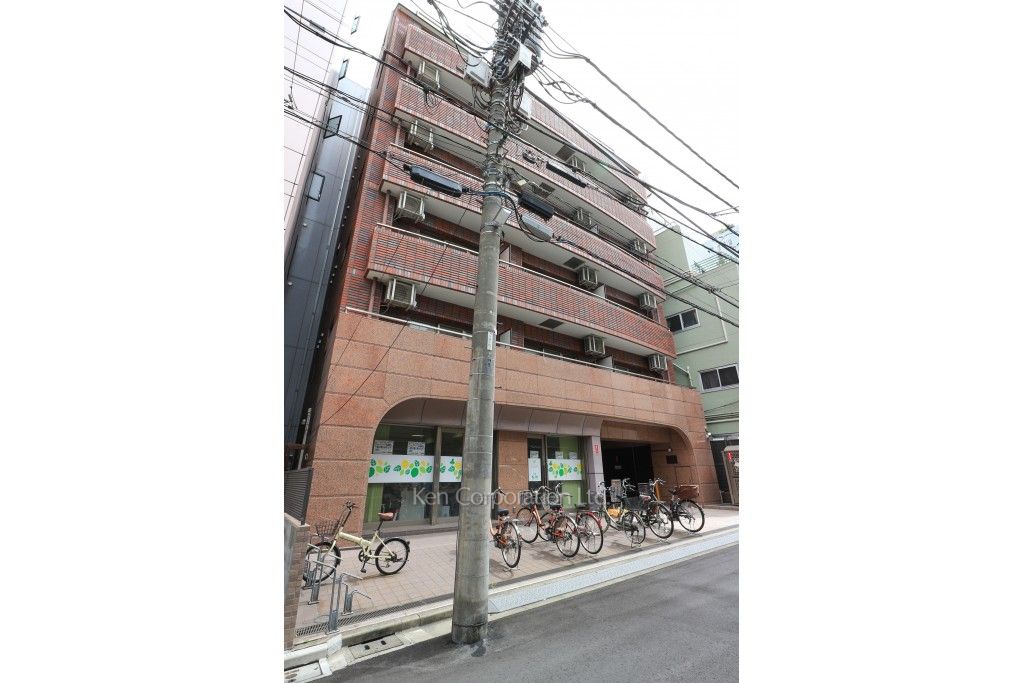 外観ひき
