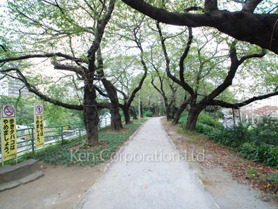  外堀の緑地