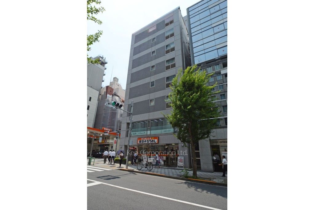 グランアクス麹町の写真 外観ひき