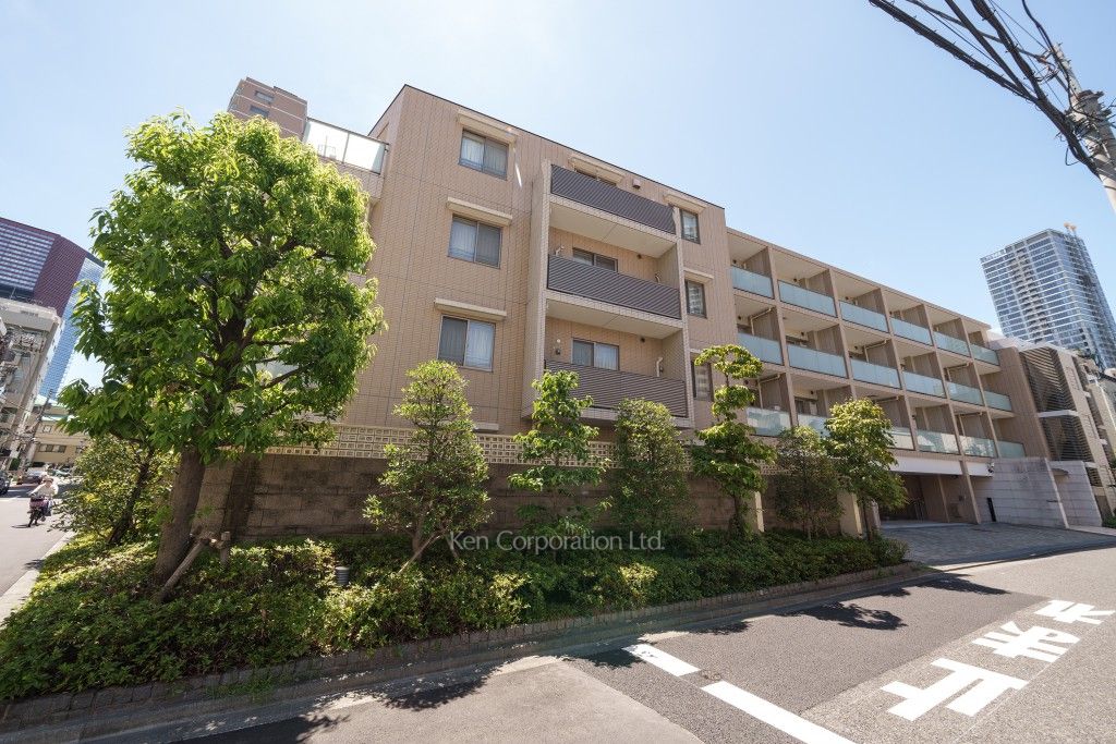  外観ひき