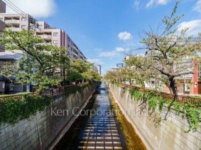 クレッセント目黒青葉台の写真 目黒川