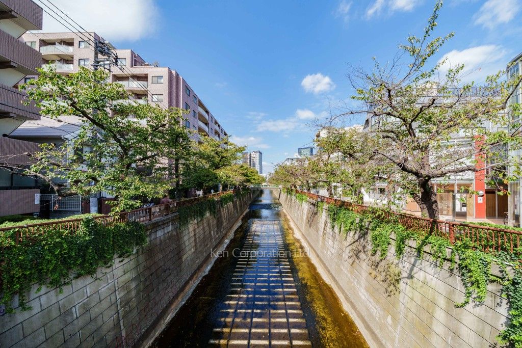 クレッセント目黒青葉台の写真 目黒川