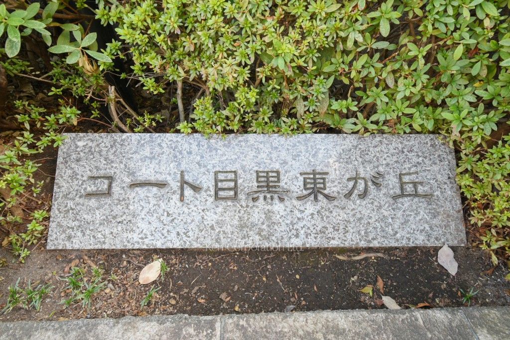 コート目黒東が丘の写真 マンションプレート