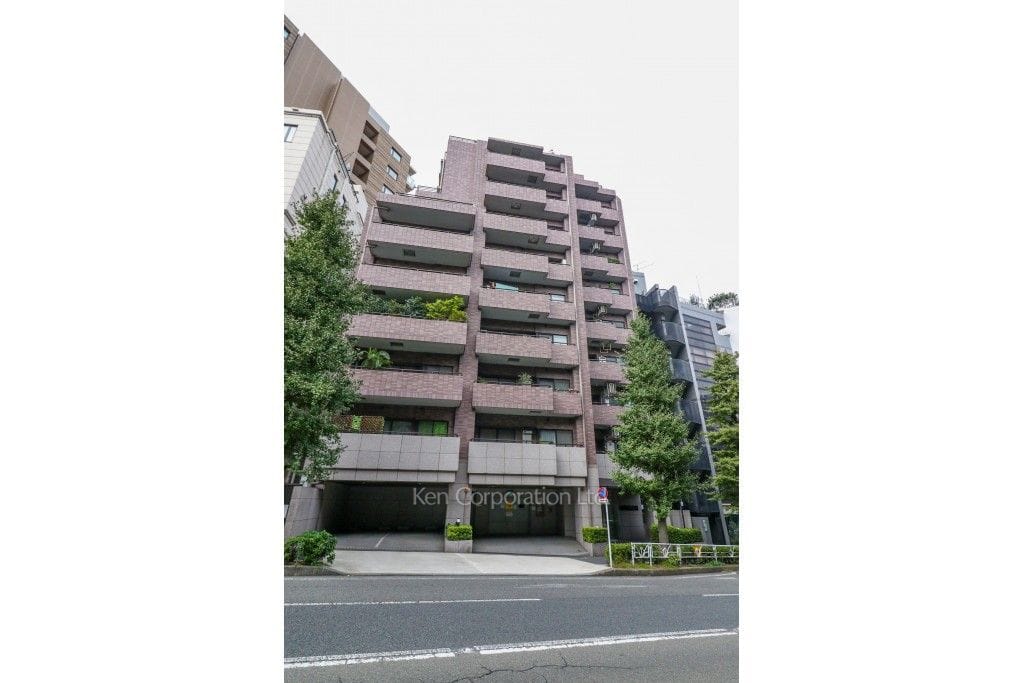 藤和渋谷常磐松ホームズの写真 外観ひき