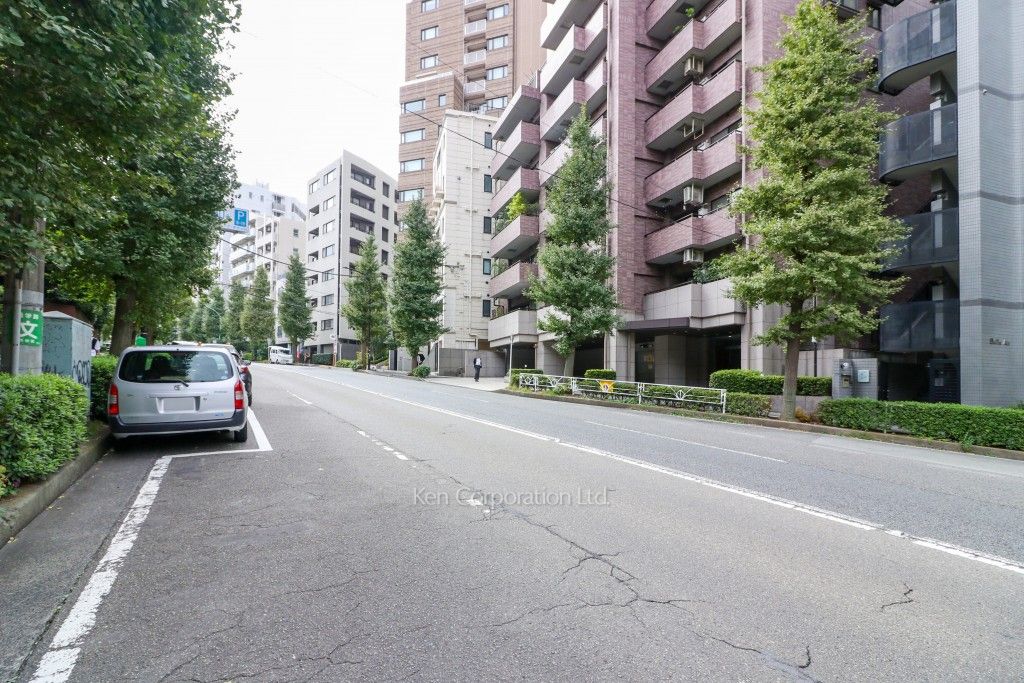 藤和渋谷常磐松ホームズの写真 前面道路
