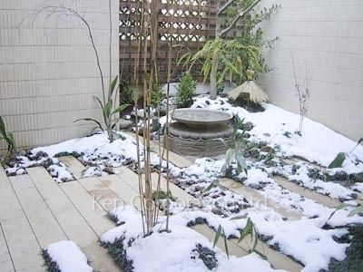  外観その他