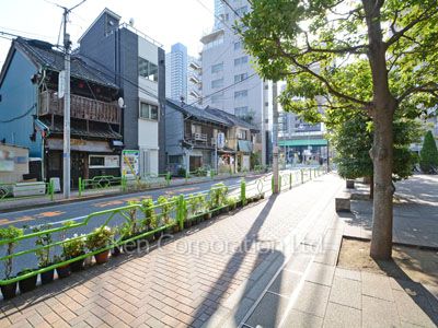 ライオンズタワー月島の写真 前面道路