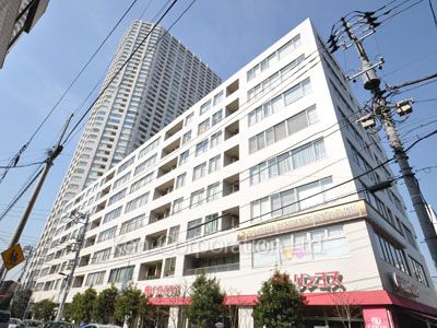 TAKANAWA The RESIDENCE テラス棟の写真 テラス棟ひき
