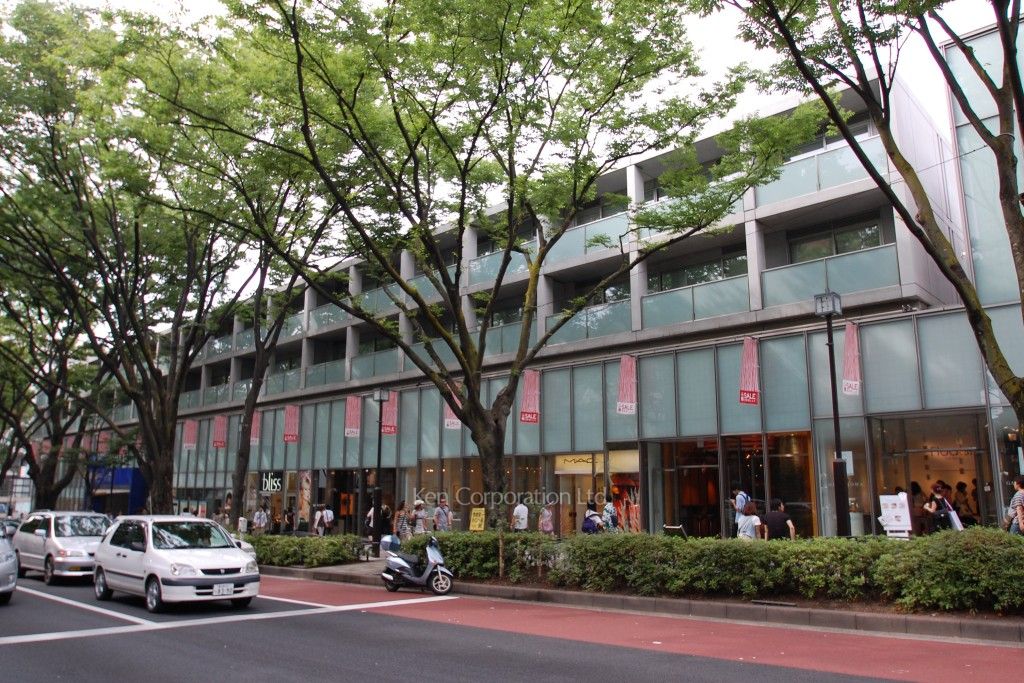 表参道ヒルズゼルコバテラスの写真  外観ひき