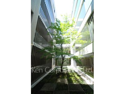 神宮前五丁目ブランシェの写真