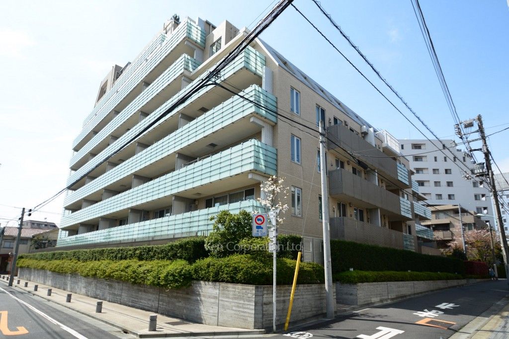  外観ひき