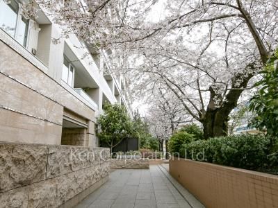 The 目黒桜レジデンスの写真 中庭・植栽