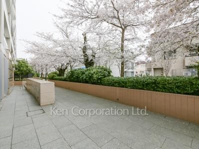 The 目黒桜レジデンスの写真 中庭・植栽
