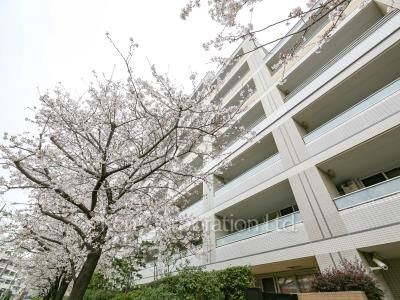 The 目黒桜レジデンスの写真 外観ひき