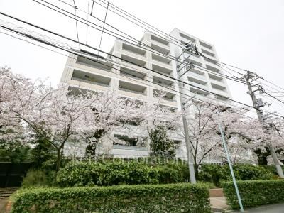 The 目黒桜レジデンスの写真 外観ひき