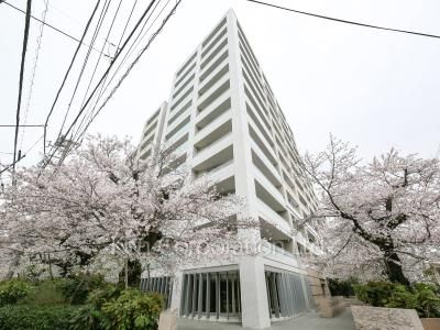 The 目黒桜レジデンスの写真 外観ひき