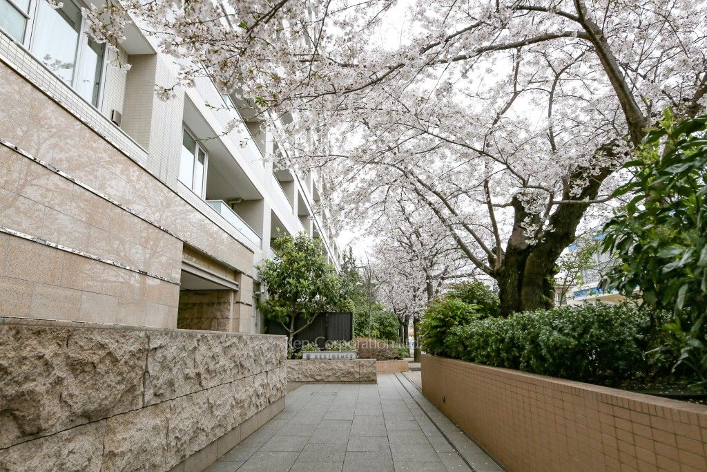 The 目黒桜レジデンスの写真 中庭・植栽