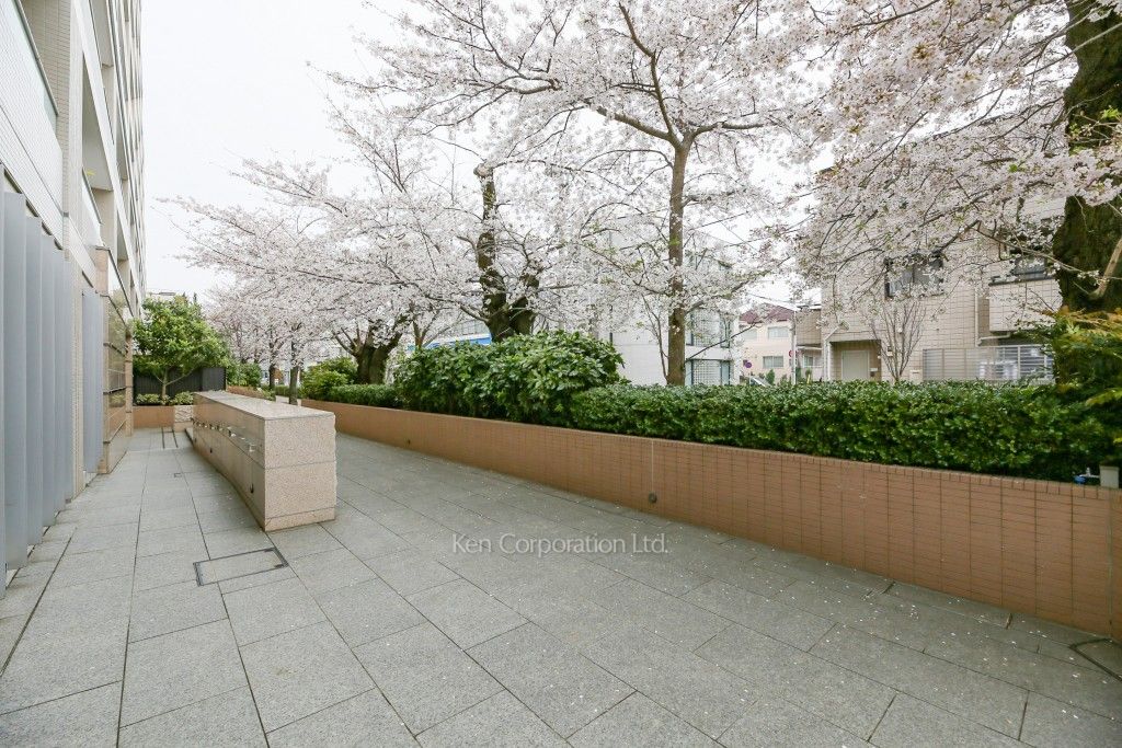 The 目黒桜レジデンスの写真 中庭・植栽